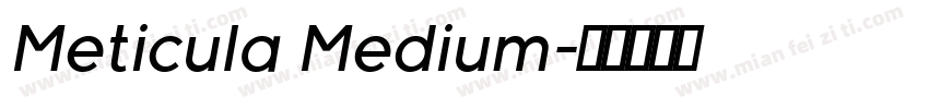 Meticula Medium字体转换